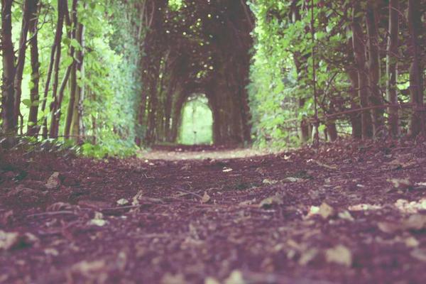 苹果视频 - 生活小技巧